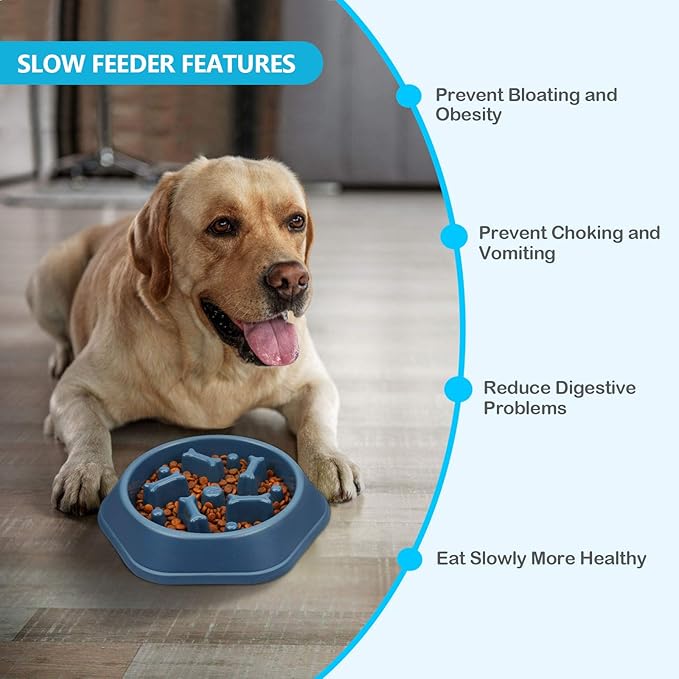 UPSKY 2PCS Slow Feeder Dog Bowl Anti-Chocking Slower Feeding Dog Puzzle Bowls, Interactive Bloat Stop Dogs Food Bowl Dishes Non-Slide Lick Treat Bowl for Small Medium Dogs (Blue+Pink)