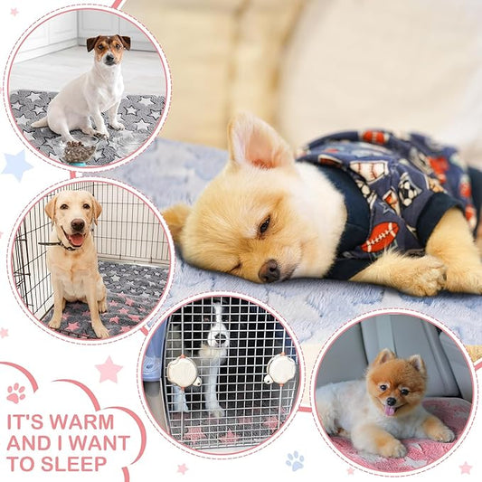 Reginary 4 Pcs Waterproof Guinea Pig Blankets Washable Small Animal Fleece Bedding Guinea Pig Cage Liners Reusable Training Pads Pet Pee Pad Sleep Mat for Hamster(Cute Star Pattern,28 x 56 Inch)