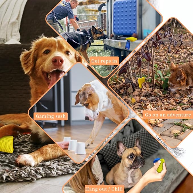 Dog Scent Training Kit with Squeaky Sound – Interactive Nose Work Toys for Dogs, Hide & Seek Scent Games | Mental Stimulation, Anxiety Relief & Obedience Training for All Ages (Yellow)