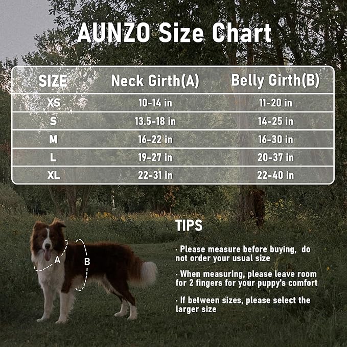 Heavy Duty Dog Harness for Large Dogs No Pull Adjustable Vest Harness with Handle Reflective K9 Military Service Puppy Vest for Walking Hiking Training, Blue Ethnic, XL