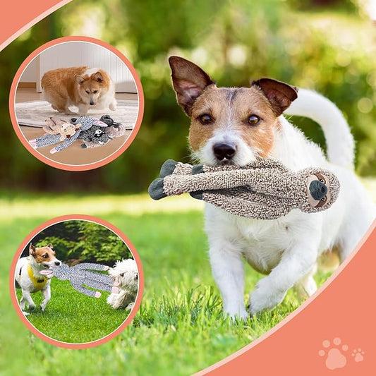 Raccoon No Stuffing Dog Toys for Large Dogs, Squeaky Crinkle Interactive Dog Animals, Plush Teething Toys to Keep Them Busy, Cute Funny Dogs Gifts for Small Medium Large Breed