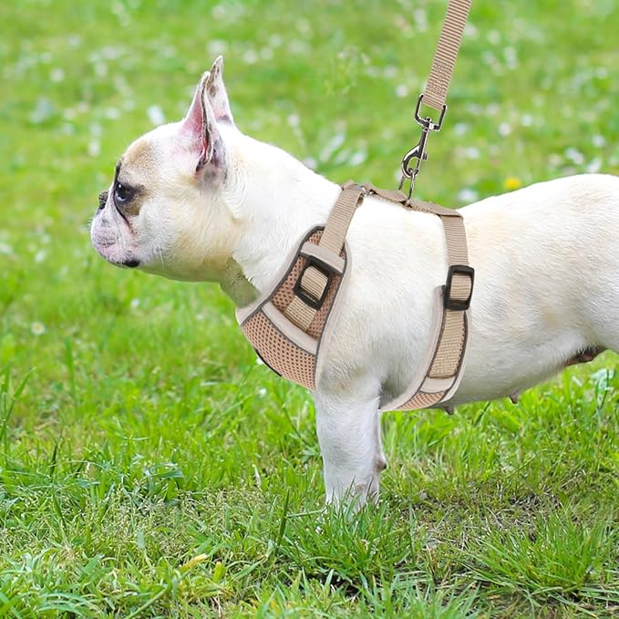 PUPTECK Small Dog Harness and Leash Set, No Pull Adjustable Puppy Cat Harness, Reflective Soft Mesh Pet Vest Small Sized