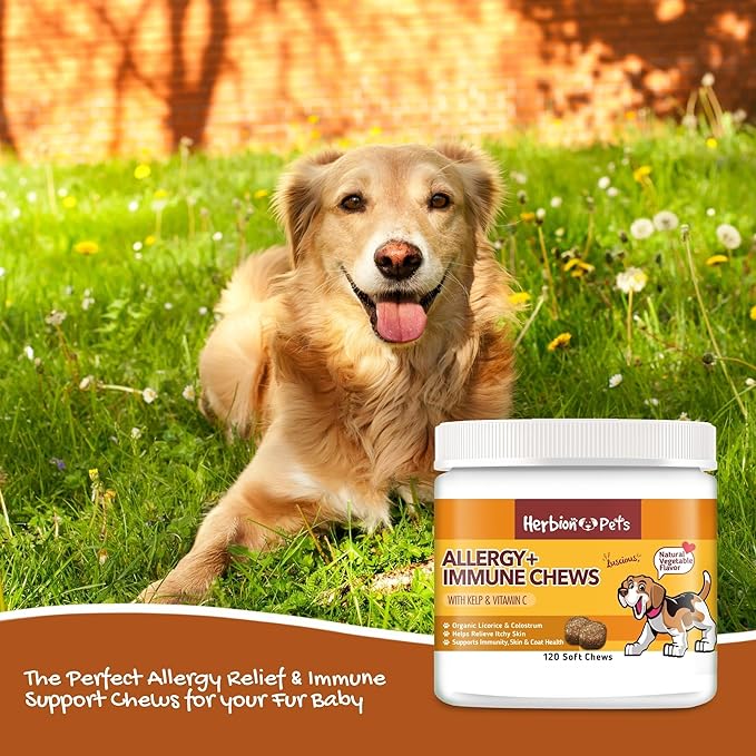 Herbion Pets Allergy + Immune Chews with Kelp & Vitamin C, 120 Soft Chews, Supports Immunity, Skin & Coat Health, Relieves Itchy Skin, Made in USA, Natural Vegetable Flavor, for Dogs 12 Weeks+, Pack 1