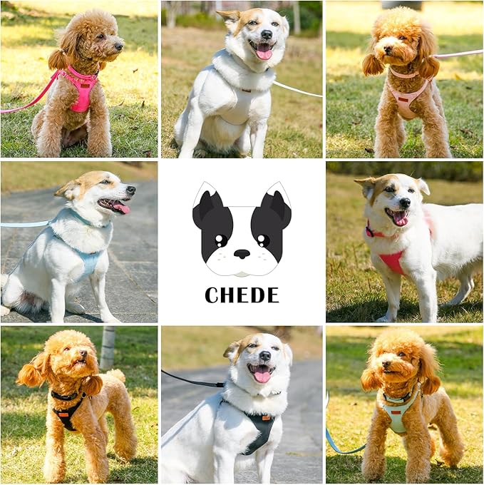 No Pull Dog Harness- Lightweight, Soft, Adjustable Small Harness Collar and Leash Set, Suitable for Cats Puppy Small and Medium-Sized Dog Outdoor Training and Running (hotpink, M)