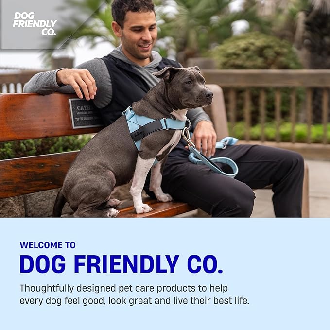 DF Co. Dog Harness | Chafe Resistant Webbing, Adjustable Neck & Chest, and Heavy Duty D-Ring | Sturdy, Comfortable, Easy to Use | Sky Blue, Size S