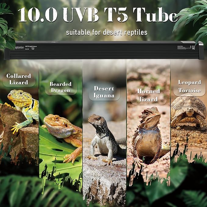 NEPTONION T5 Reptile UVB Light 6.5 Inches Fixture with UVB 10.0 Bulb High Output Hood for Terrariums, Basking Reptiles, Lizards, Chameleons, Iguanas, Bearded Dragons, 4W