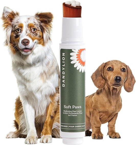 Dandylion Daily Paw Care Kit – No‑Rinse Paw Cleaner + Hydrating Paw Lotion with Brush – Gentle, pH‑Balanced, Fragrance‑Free, Plant‑Based