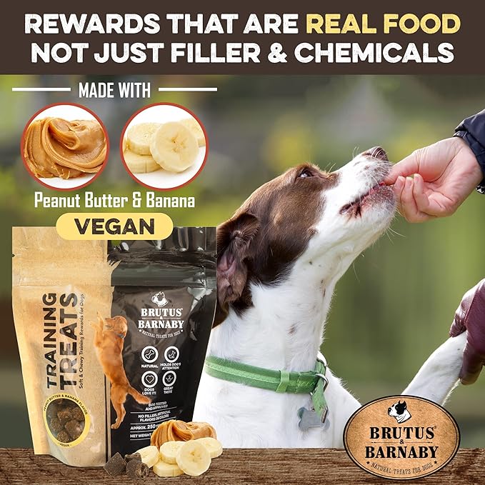 BRUTUS & BARNABY Sweet Potato (8oz) + Training Treats for Dogs (8oz)