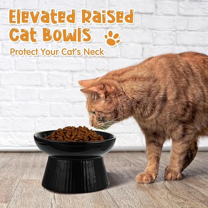 Tioncy 2 Pcs Raised Cat Slow Feeder Bowl Ceramic Elevated Cat Dog Food Bowl No Spill High Edge for Dry Wet Food and Water Easy to Clean, Dishwasher Safe(Dark Green, Black)