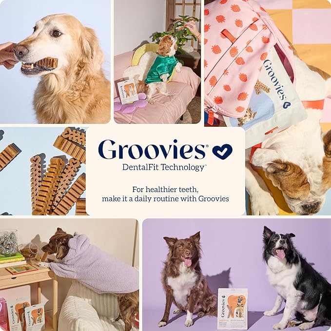 Groovies Slightly Softer, Yet Flexible Dental Chew for Senior Dogs & Delicate Chewers. Powered by USA-Patented DentalFit Tech. No Added Gluten, No Artificial Flavors or Colors. 12oz Medium (20Chews)