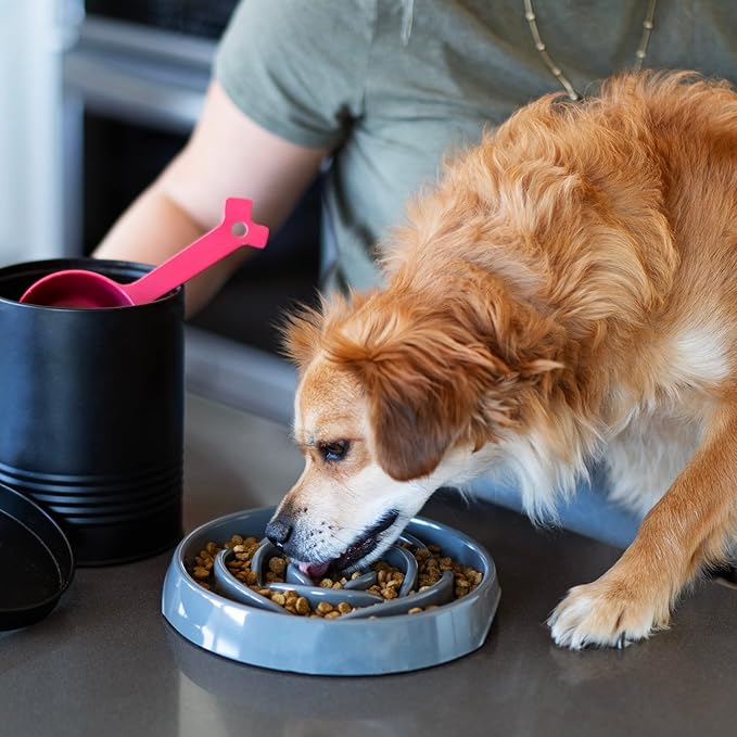 Messy Mutts Interactive Slow Feeder | Puzzle Slow Feeder Dog or Cat Bowl | Enrichment Food Dish to Slow Eating, Prevent Bloating | 8” x 1.3” | 1.75 Cup | Cool Grey