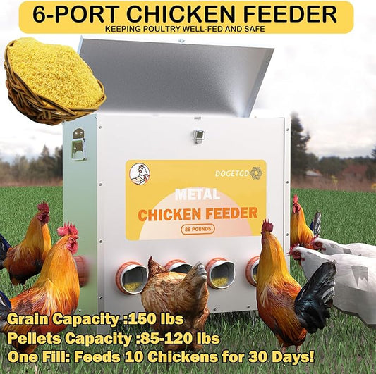 Automatic Chicken Feeder No Waste Metal Poultry Feeder Large Capacity 85 lbs for Chickens, Geese, Ducks, Turkeys, Quails (6-Port)