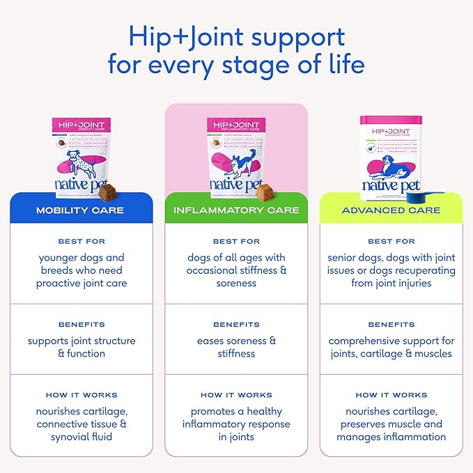 Native Pet Pain Relief for Dogs - Collagen for Dogs Promotes Joint Health, Reduce Inflammation & Stiffness - Senior Pup Joint Supplement - Natural Pain Reliever for Active & Aging Pets - 30 Chews