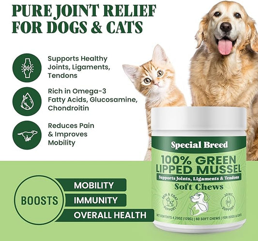 Green Lipped Mussel for Dogs & Cats - 60 Soft Chews - New Zealand Green Lipped Mussels - Natural Hip & Joint Supplement for Joints, Tendons, Ligaments, Muscles