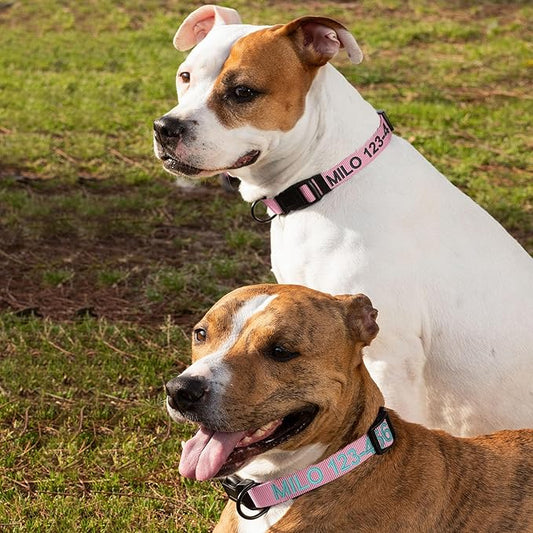 Pawtitas Personalized Dog Collar Large Dog Collar Embroider with Name Phone Number Puppy Collar Adjustable Customized Collar for Large Dogs Breeds Puppy Pink Dog Collar