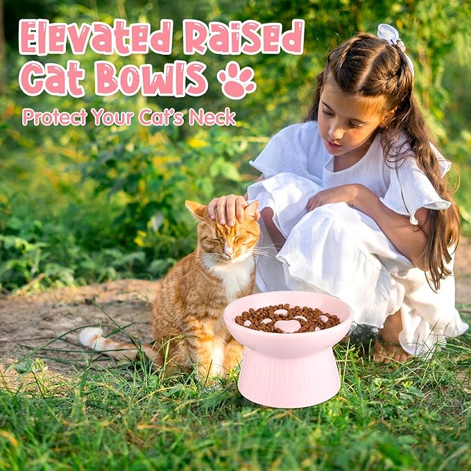 Tioncy 2 Pcs Raised Cat Slow Feeder Bowl Ceramic Elevated Cat Dog Food Bowl No Spill High Edge for Dry Wet Food and Water Easy to Clean, Dishwasher Safe(Pink, Dark Green)