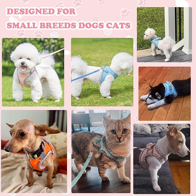 Dog Harness and Leash Set, No Pull Adjustable Reflective Pet Harness for Small Medium Dogs, Step in Vest Harness Easy Walk Dog Harness Outdoor Hiking Training for Small Dogs, Cats(Green, XS)