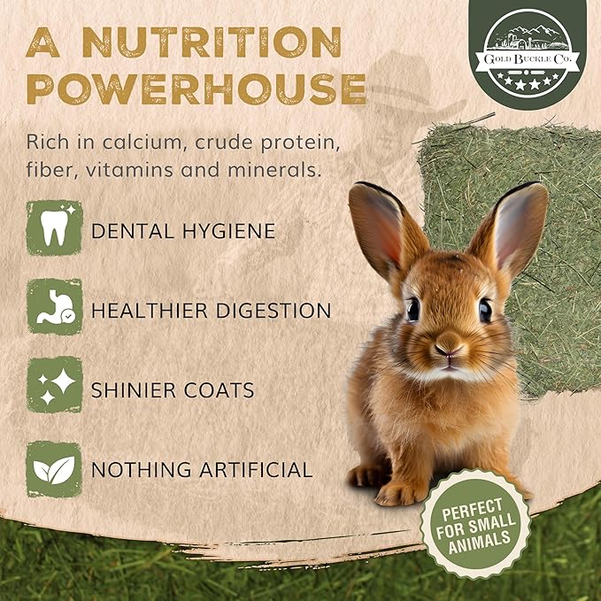 Gold Buckle Co 20lb Farm Fresh, USA Grown, Organic Alfalfa Hay for Rabbits, Guinea Pigs, Chinchillas, Goats, Hamsters & Ferrets - Small Animal Food Rich in Protein & Fiber - Just Dried, Hand-Selected