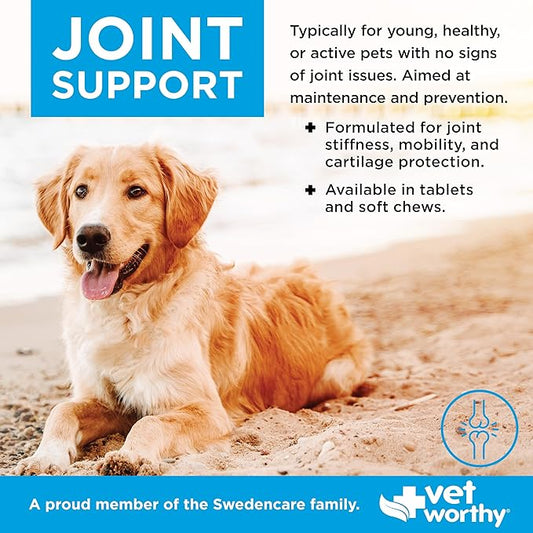 Vet Worthy Dog Hip and Joint Supplement - Glucosamine Chondroitin for Dogs with MSM and Essential Minerals - Early Care Formula for Dog Joint Health and Flexibility - Liver-Flavored Tablet (90 ct)