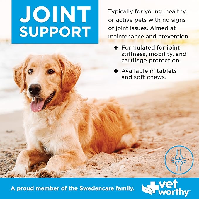 Vet Worthy Joint Support Soft Chews - Bone and Joint Supplement for Dogs - Contains Glucosamine Chondroitin for Dogs & MSM - Formulated for Stiffness, Mobility, and Cartilage Protection – 60 Count