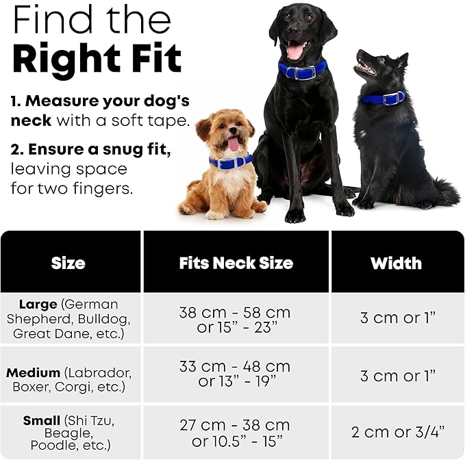 Regal Dog Products Small Blue Dog Collar with Heavy Duty Double Buckle & D Ring | Vinyl Coated, Custom Fit, Adjustable Biothane Dog Collar | Chew Resistant Waterproof Collar for Dogs