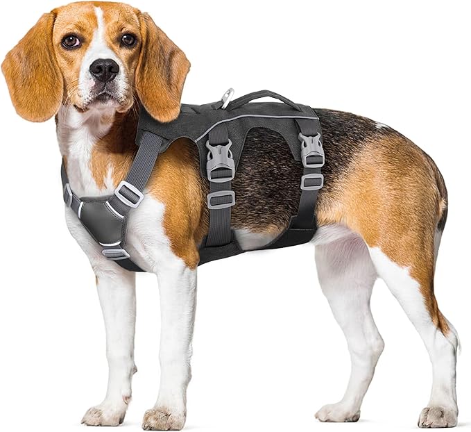 Escape Proof Dog Harness with Handle - Reflective No Pull Dog Vest, Lightweight Full Body Pet Harness Adjustable for Small Dogs Walking,Training(Black,Chest:14-22")
