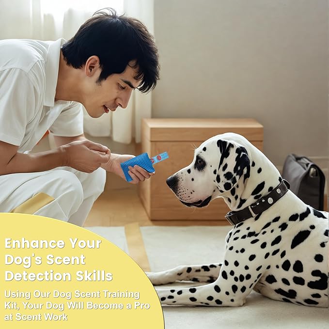 Dog Scented Training Kit Fun for Dogs- Nose Work for Dogs, Hide and Seek Dog Toys, Enhance Dog Brain Games, Nose Scent Work Games for All Ages Dog, Dog Scent Training Box, Scent Work Kit for Dogs