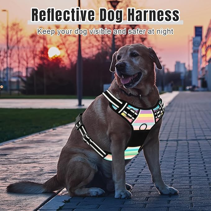 Rnivvi No Pull Dog Harness, Cute Reflective Extra Small Sized Puppy Harness, Adjustable Soft Padded Vest for Small Dogs, Cats, Heavy Duty Pet Vest with Easy Control Handle for Walking, Watercolor