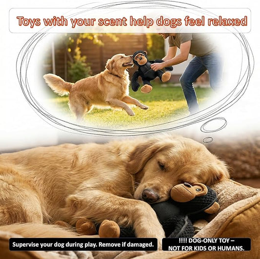 Plush Stuffed Squeaky Dog Toys, Dog Toy Medium、Large Breed, Dog Chew Toys for Non-Aggressive Dogs,Chew Dog Toys to Keep Them Busy,Solomon,11" x 11" Gorilla