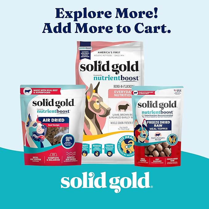 Solid Gold High Protein Wet Dog Food for Large Dogs & Small Dogs - Soft Grain Free Canned Dog Food w/Real Beef, Prebiotics & Superfoods for Gut Health & Immune Support - All Ages - 6ct 13.2oz Cans