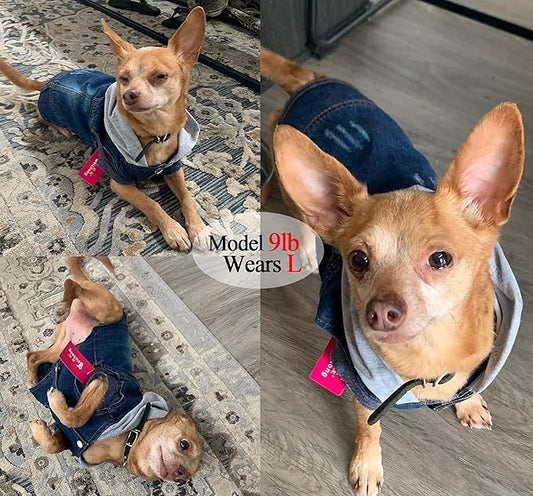 Pet Clothes Dog Jeans Jacket Cool Blue Denim Hoodie Coat, Puppy Clothing Shirt Costume, Doggy Vintage Lapel Vest, Dog Classic T-Shirt Apparel for Small Medium Dogs Cats (Blue, XX-Large)