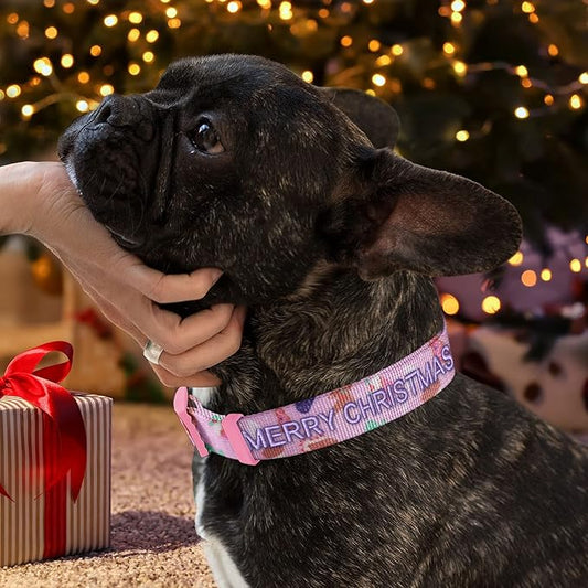 Pawtitas Personalized Dog Collar Dog Soft Adjustable Puppy Collar Customizable Embroidered add Pet Name Phone Number or Phrase Extra Small Christmas Cookies
