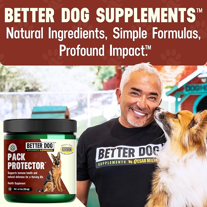 Cesar Millan Better Dog Immune Support Supplement Powder - Pack Protector Immune Support for Dogs, Energy & Internal Balance Dog Supplements w/Proprietary Herbal Blend - 4 oz 60-Day Average Supply