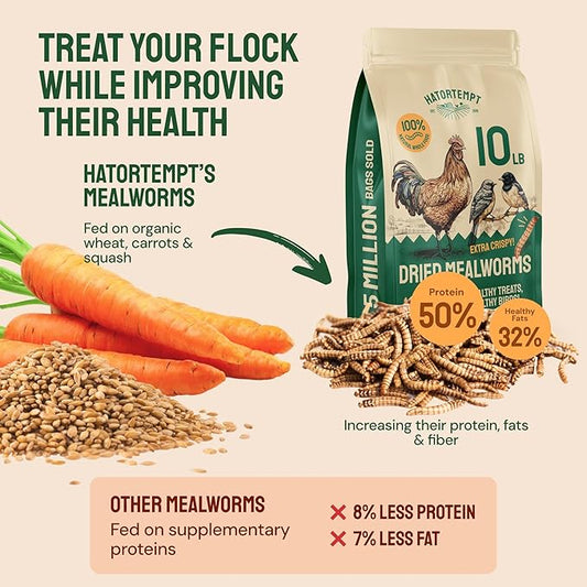 Hatortempt Bulk Dried Mealworms - 10 Lb Bag - Non-GMO Dried Mealworms for Chickens, Ducks & Wild Birds - High-Protein Chicken Feed & Bird Food
