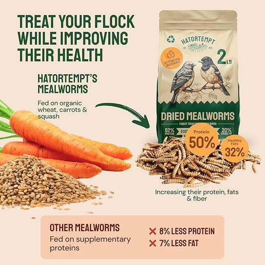 Hatortempt Dried Mealworms - High Protein Chicken Feed Supplement - Mealworms for Wild Birds & Chickens & Turtles (2lb Bag)
