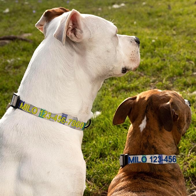 Pawtitas Pet Soft Adjustable Solid Color Puppy Collar Dog Multicolor Personalized Customizable Embroidered Customize w Name & Phone Number Grey Blue Green Large Customized Large (Pack of 1)