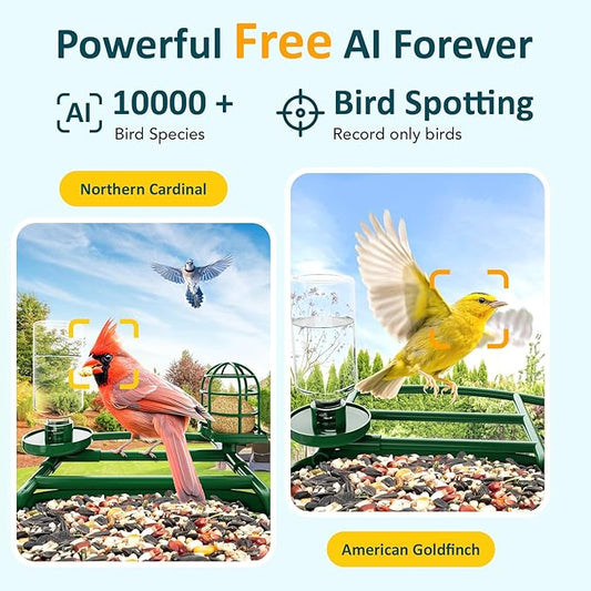 BIRDLEGEND-BL03 2L Large Bird Feeder with Camera Solar Powered, 2K Clarity 3:4 Portrait Free AI Identify Arrival Alerts with 64GB Card Smart Cameras Birds Feeders Wireless Outdoor Gift for Bird Lover