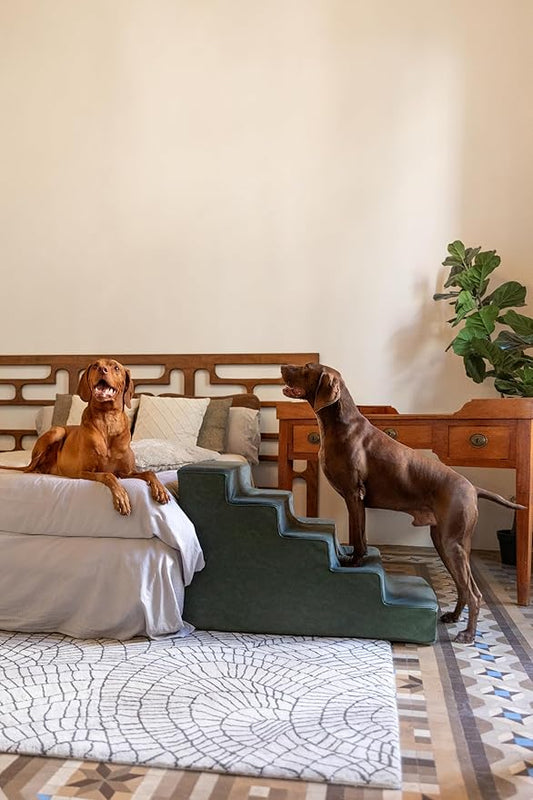 Noah & Paw Dog Stairs, Dog Ramp for Bed (20" Extra Wide) Pet Stairs for High Bed, Design to Fit Small and Large Breeds, Durable 5 Pet Steps for Couch (35 Foam Density) Leather Collection