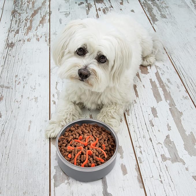 Jaoul Slow Feeder Dog Bowls Insert, Puzzle Slow Feeder Insert with 21 Octopus Suction Cups for Small Breed Dog Food Bowls (4 inch, Orange)