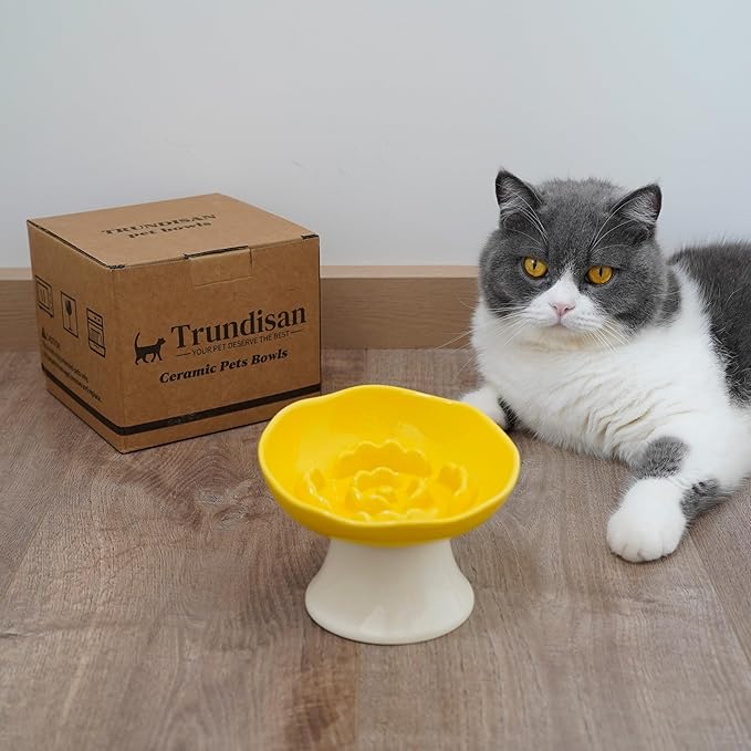 Ceramic Slow Feeder Bowl for Cats and Small Dogs, Elevated Tilted Pet Food Dish, Whisker Friendly Anti-Vomit Design, Heavy Stable Base, Dishwasher Safe, 5 Colors Options (Lemon Yellow)