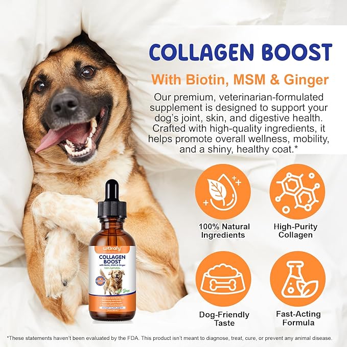 Collagen for Dogs - Liquid Collagen Supplement Drops for Dog, Itch Relief for Dogs, Boosts Skin & Coat, Joint Health, Digestion, Immunity, 60ml