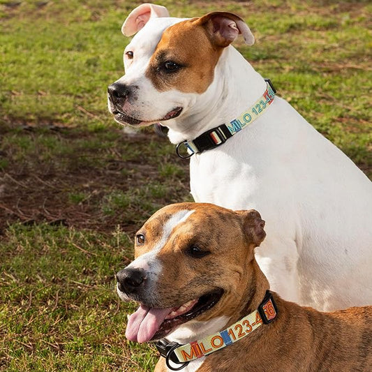 Pawtitas Personalized Dog Collar LargeDog Collar Embroider Name Phone Number Puppy Collar Adjustable Customized Collar for Large Dogs Breeds Multicolor Dog Collar