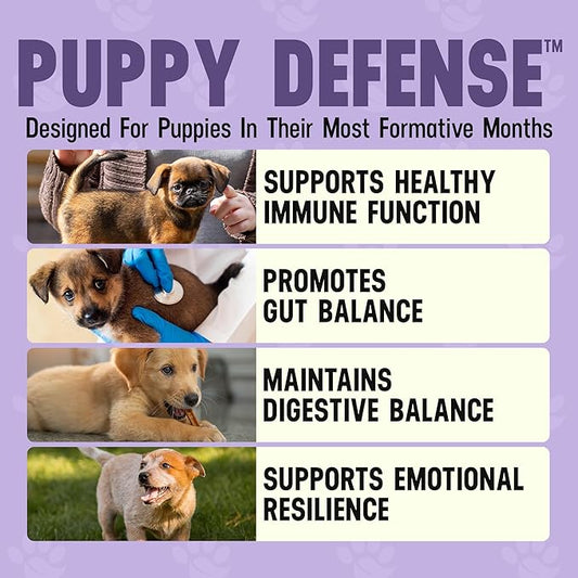 Cesar Millan Better Dog Immune Support for Puppies Powder - Puppy Defense for Pups’ Immunity, Dog Digestive Support & Gut Supplements for Dogs with Herbal Ingredients - 4 oz, 60-Day Average Supply