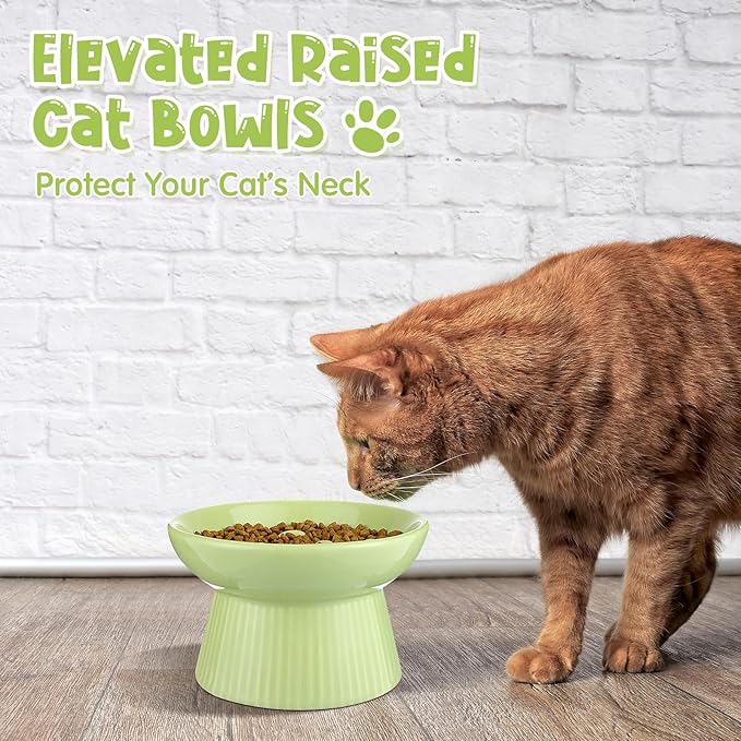 Tioncy 2 Pcs Raised Cat Slow Feeder Bowl Ceramic Elevated Cat Dog Food Bowl No Spill High Edge for Dry Wet Food and Water Easy to Clean, Dishwasher Safe(White, Green)