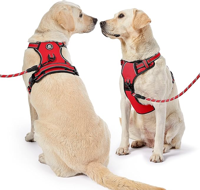 NESTROAD No Pull Dog Harness,Adjustable Oxford Dog Vest Harness with Leash,Reflective No-Choke Pet Harness with Easy Control Soft Handle for Large Dogs(X-Large,Red)