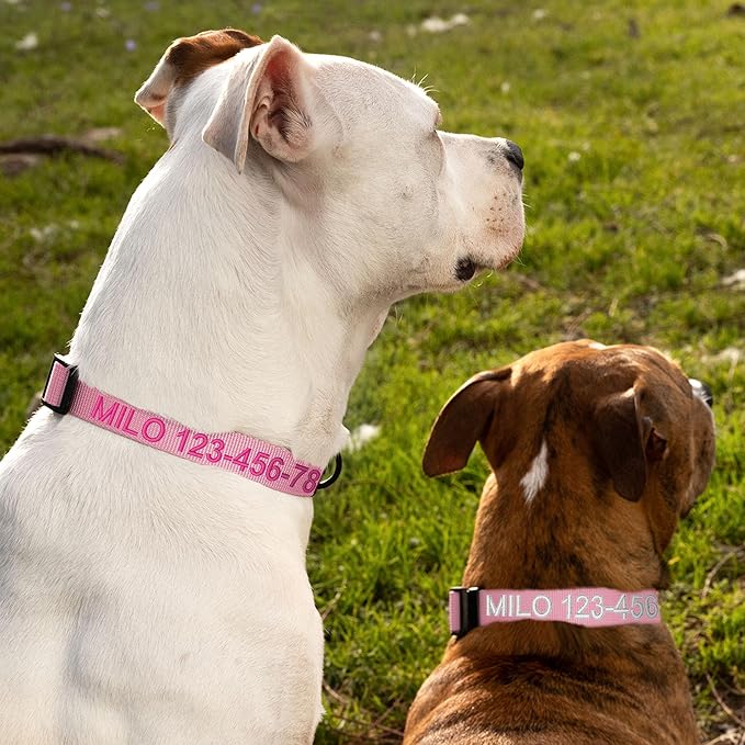 Pawtitas Personalized Dog Collar Medium Dog Collar Embroider with Name Phone Number Puppy Collar Adjustable Customized Collar for Medium Dogs Breeds Puppy Pink Dog Collar