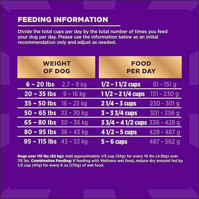 Wellness CORE+ Sensitive Skin & Stomach Dry Dog Food with Freeze Dried Pieces, Wholesome Grains, High Protein, Natural, Salmon & Rice Recipe, (18-Pound Bag)