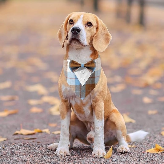 HDGDT Fall Dog Tuxedo Bandana, Orange Plaid Pet Collar with Bowtie, Adjustable Halloween Thanksgiving Dog Tux Costume for Small to Extra Large Pets