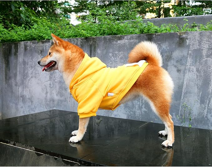 iChoue French Bulldog Frenchie Clothes Hoodies for Dogs Pug English Boston Terrier Bully Pitbull Corgi Sweatshirt Sweater Clothing - Yellow/Large Plus