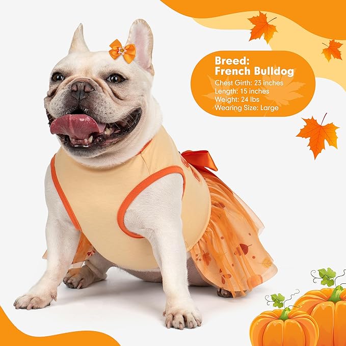 cyeollo Thanksgiving Day Dog Dress Turkey Small Dog Clothes Tulle Holiday Outfit Pet Dresses for Medium Large Dogs Girl, Size 2XL